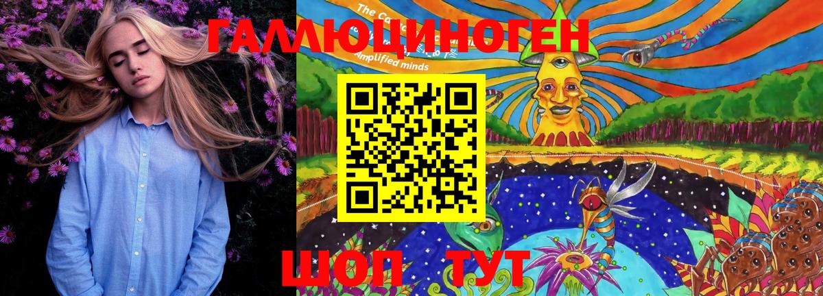 Галлюциногенные грибы MAGIC MUSHROOMS  Галлюциногенные грибы Psilocybe  Рославль  Вход с VPN 